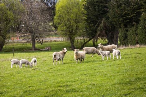 Photo of property in 309 Gladstone Road North, East Taieri, Mosgiel, 9092