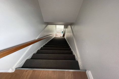 Photo of property in 105 Majoribanks Street, Mount Victoria, Wellington, 6011