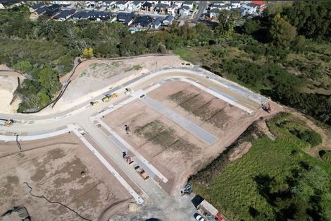 Photo of property in 65 Waterlily Street, Hobsonville, 0616