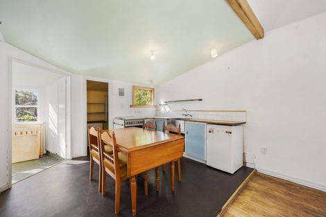 Photo of property in 113 Holloway Road, Aro Valley, Wellington, 6021
