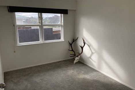 Photo of property in 19 Freyberg Street, Solway, Masterton, 5810