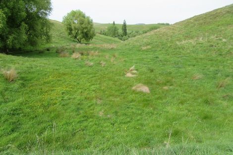 Photo of property in 209 Pourerere Road, Waipawa, 4271