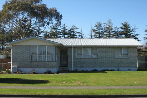 Photo of property in 19 Hinemoa Street, Levin, 5510