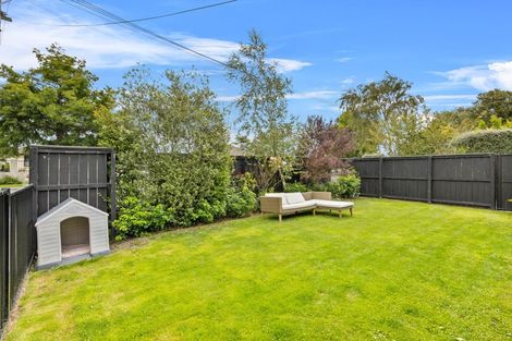 Photo of property in 36 Condell Avenue, Papanui, Christchurch, 8053