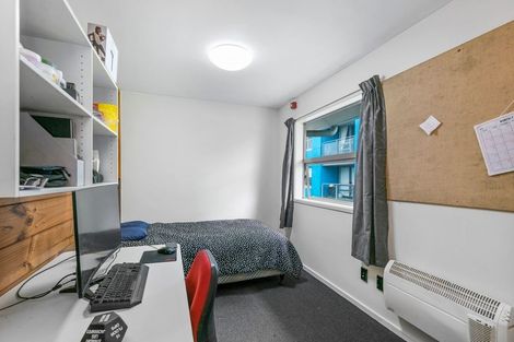 Photo of property in Drummond Street Flats, 28/19u Drummond Street, Mount Cook, Wellington, 6021