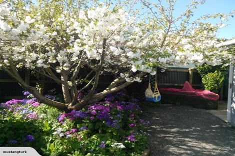 Photo of property in 7 Dundas Street, Porangahau, 4293