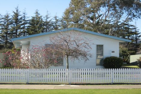Photo of property in 17 Hinemoa Street, Levin, 5510
