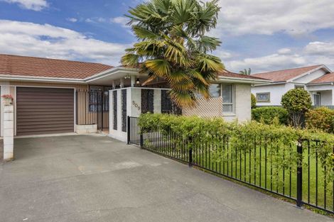Photo of property in 509 Tomoana Road, Hastings, 4122