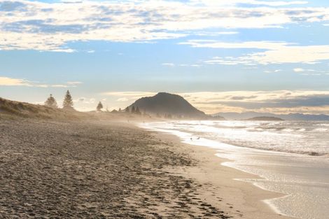 Photo of property in 55 Bayfair Drive, Mount Maunganui, 3116