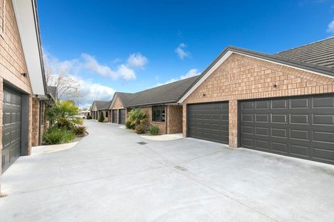 Photo of property in 28u9 Fifth Avenue, Enderley, Hamilton, 3214