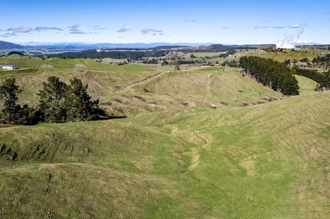 Photo of property in 557 Palmer Mill Road, Wairakei, Taupo, 3384