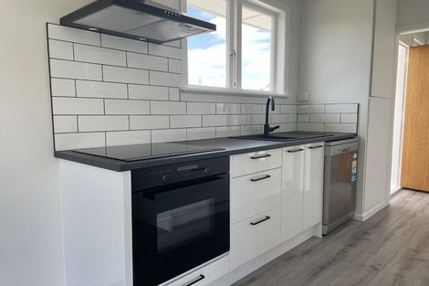 Photo of property in 702a Dennett Street, Mahora, Hastings, 4120