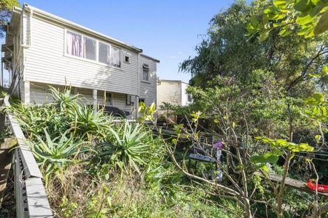Photo of property in 129 Daniell Street, Newtown, Wellington, 6021