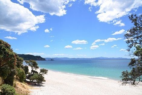 Photo of property in 25 Palm Drive, Whitianga, 3510