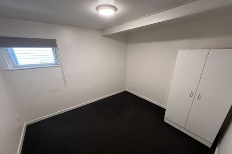 Photo of property in 239u2 Adelaide Road, Newtown, Wellington, 6021