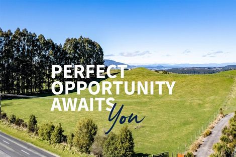 Photo of property in 557 Palmer Mill Road, Wairakei, Taupo, 3384