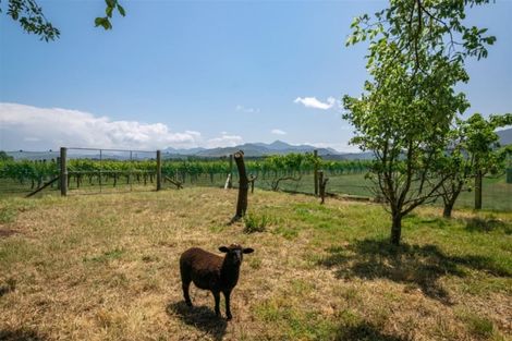 Photo of property in 37 Rapaura Road, Rapaura, Blenheim, 7273