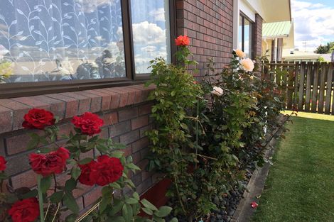 Photo of property in 3/548 Mandeno Street, Te Awamutu, 3800