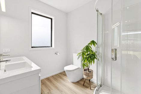 Photo of property in 46 Pounamu Avenue, Albert Town, Wanaka, 9305