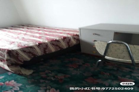 Photo of property in 43 Balgay Street, Upper Riccarton, Christchurch, 8041