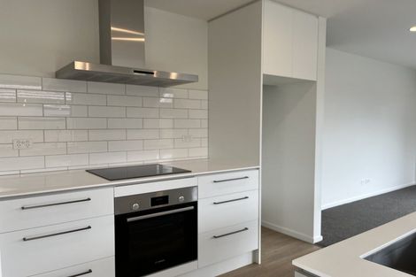 Photo of property in 37 Rita Angus Road, Belfast, 8051