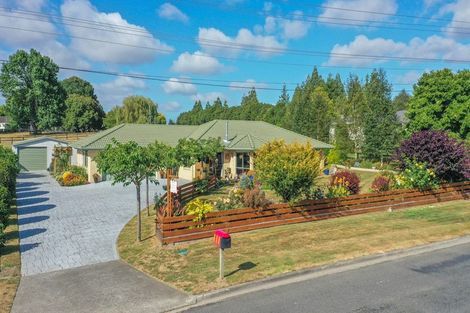 Photo of property in 24 Banks Road, Matamata, 3473