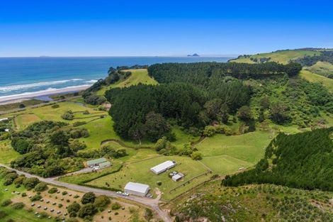 Photo of property in 603f State Highway 2 West, Pikowai, 3194