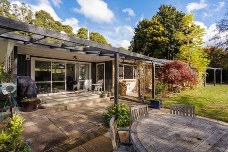 Photo of property in 213 Horahora Road, Piarere, Tirau, 3484