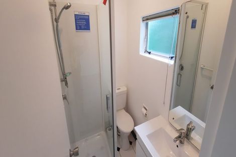 Photo of property in 64 Rolleston Street, Mount Cook, Wellington, 6021