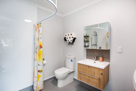 Photo of property in 17 Mccrae Place, Ashhurst, 4810