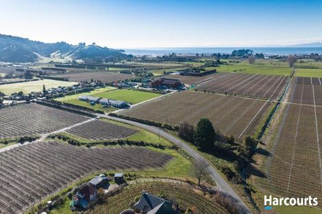 Photo of property in 177a Swamp Road, Riwaka, Motueka, 7198