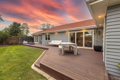 Photo of property in 4 Jameson Avenue, St Albans, Christchurch, 8052