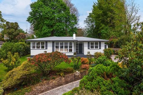 Photo of property in 14 Norrie Place, Putaruru, 3411