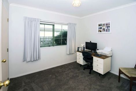Photo of property in 52 Cambridge Terrace, Masterton, 5810