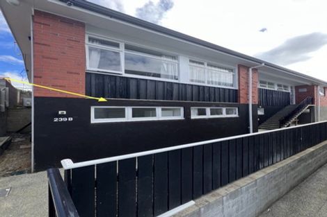 Photo of property in 239u2 Adelaide Road, Newtown, Wellington, 6021