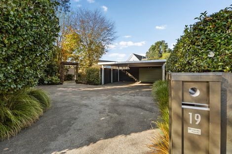 Photo of property in 19 Galbraith Avenue, Beerescourt, Hamilton, 3200
