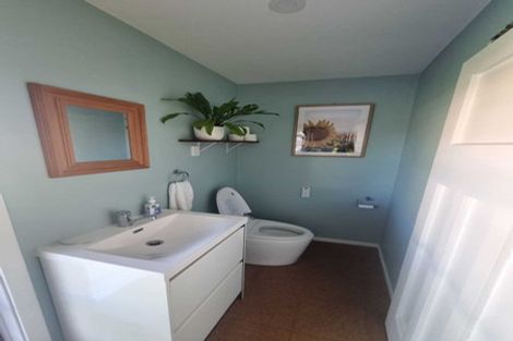 Photo of property in 810 Dufferin Street, Akina, Hastings, 4122