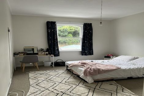 Photo of property in 43 Honiana Te Puni Street, Aro Valley, Wellington, 6021
