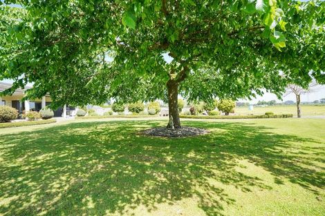 Photo of property in 388 Lorne Dacre Road, Roslyn Bush, Invercargill, 9876