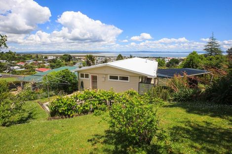 Photo of property in 318 Hill Street, Thames, 3500