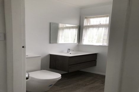 Photo of property in 18 Dudley Street, Levin, 5510