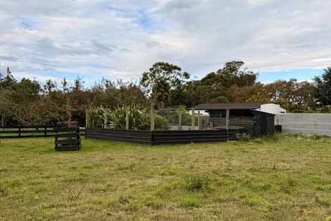 Photo of property in 249 Pukeuri-oamaru Road, Pukeuri, Oamaru, 9493