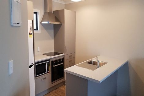 Photo of property in 29u5 Seddon Road, Frankton, Hamilton, 3204