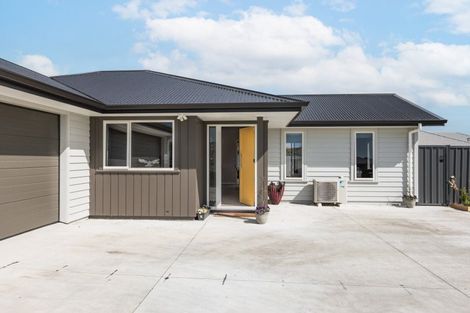 Photo of property in 93 Belgrove Drive, Waipukurau, 4200