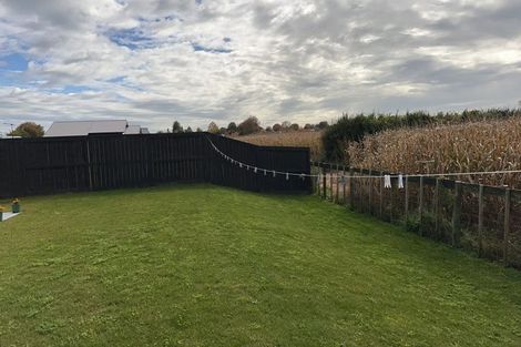 Photo of property in 51 Rangitihi Street, Matamata, 3400