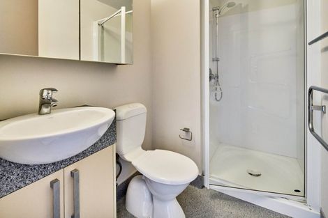 Photo of property in Dual Apartments, 510/142u Vivian Street, Te Aro, Wellington, 6011