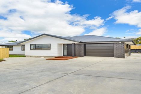 Photo of property in 154a Lethbridge Street, Feilding, 4702