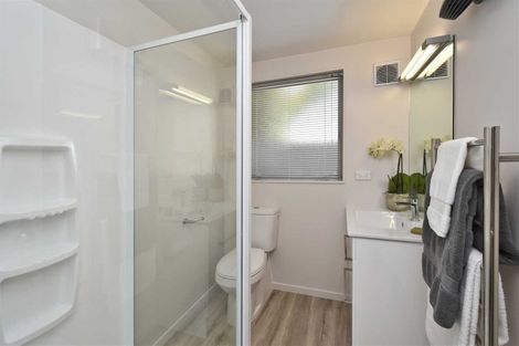 Photo of property in 153 Hastings Street East, Waltham, Christchurch, 8023