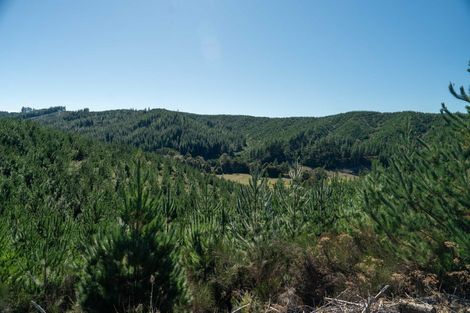 Photo of property in 96 Sunridge Park Road, Morrinsville, 3375