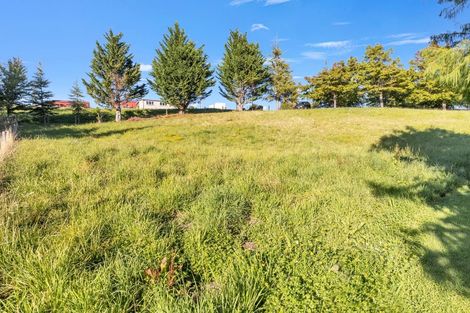 Photo of property in Abbott Street, Waipawa, 4210